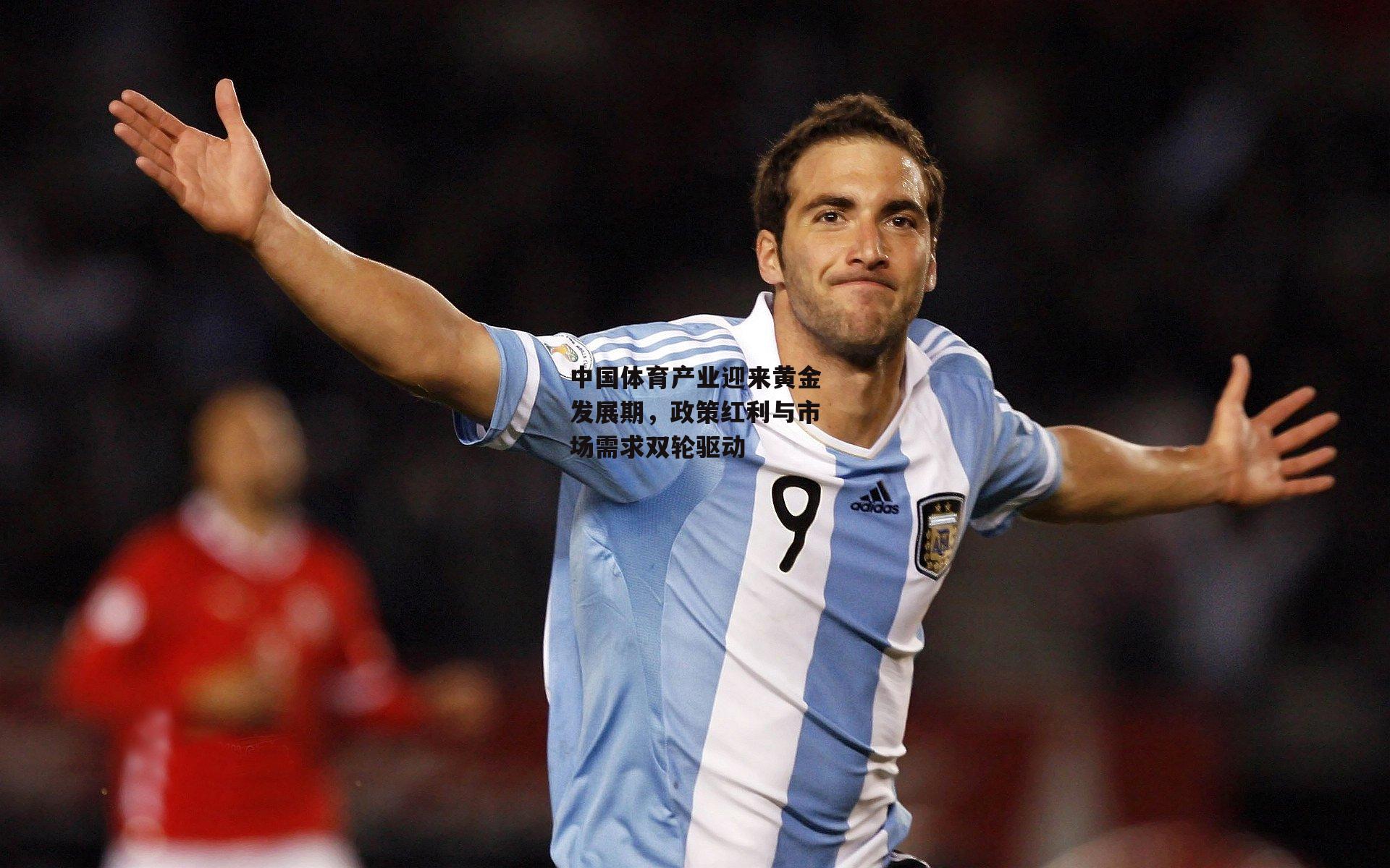 中国体育产业迎来黄金发展期,政策红利与市场需求双轮驱动