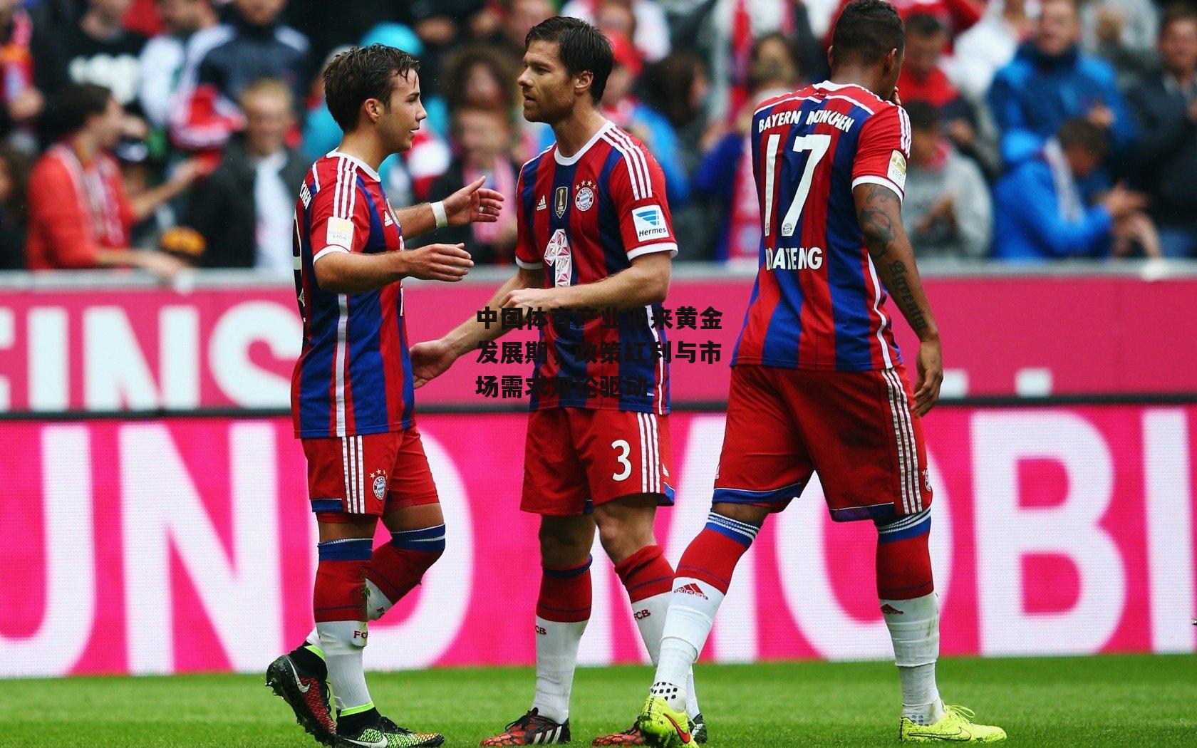 中国体育产业迎来黄金发展期,政策红利与市场需求双轮驱动