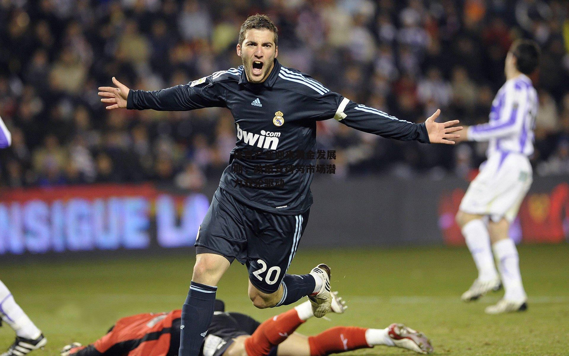 体育产业迎来黄金发展期,政策支持与市场潜力双轮驱动