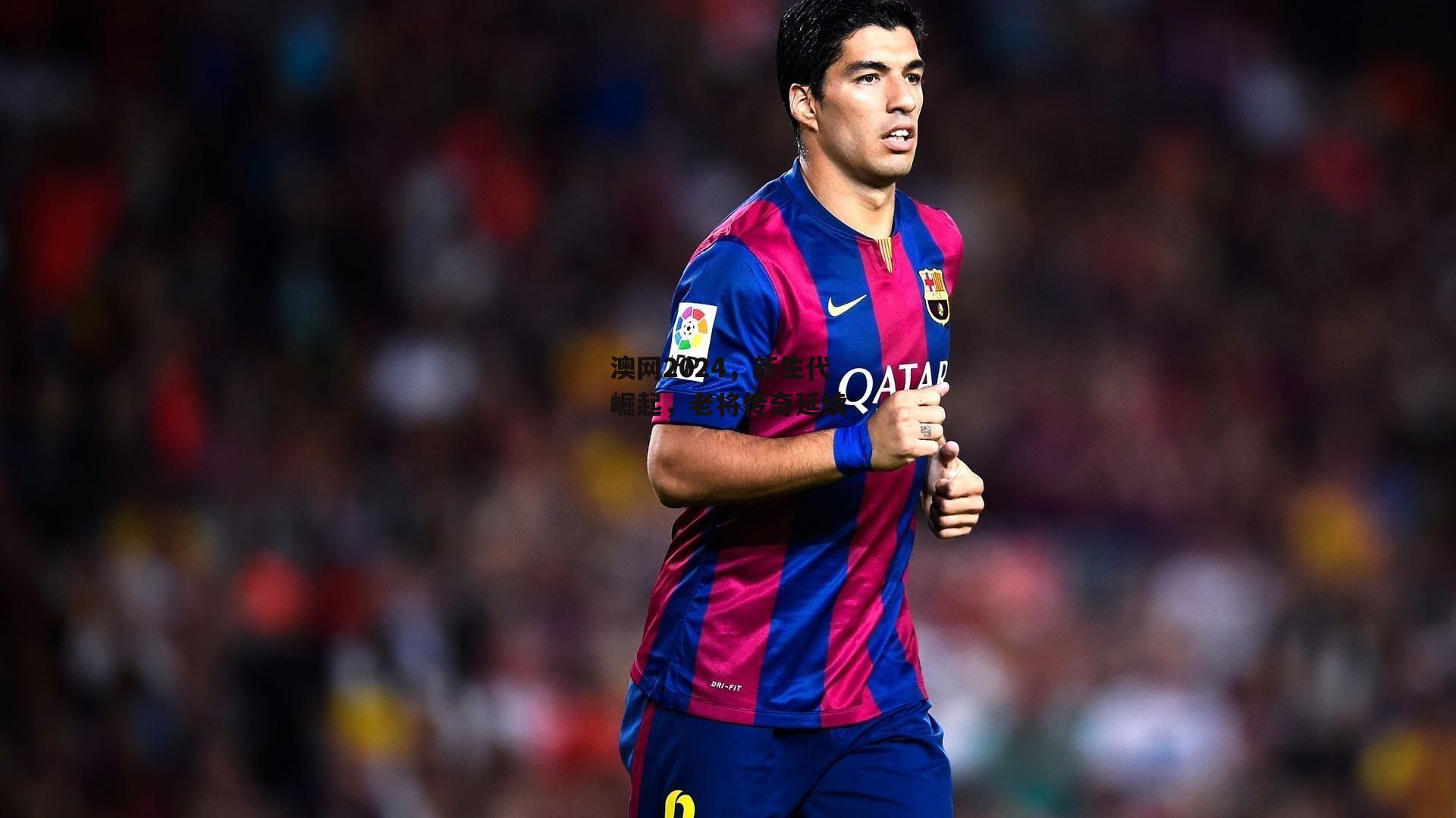 澳网2024,新生代崛起,老将传奇延续